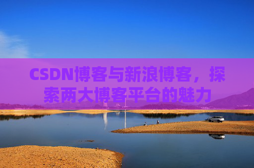 CSDN博客与新浪博客,探索两大博客平台的魅力